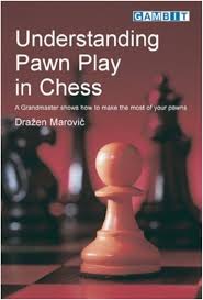 کتاب "درک نقش پیاده‌ها در شطرنج" اثر دراژن ماروویچ (Draazen Marovic - Understanding Pawns Play in Chess)